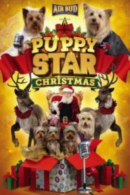 Puppy Star : c’est Noël